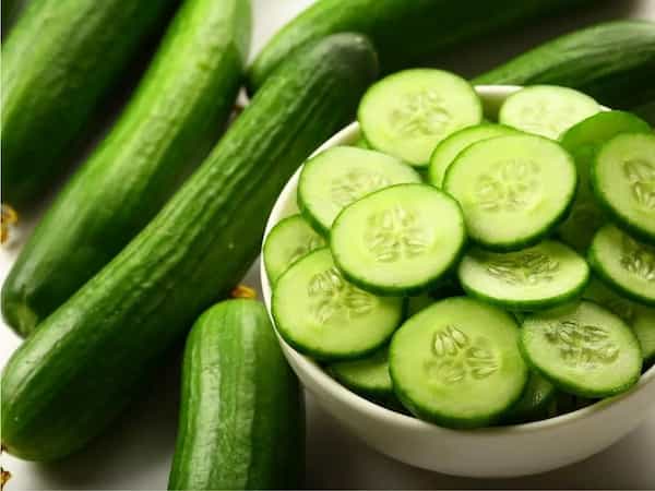 تصویر 5 از خرید و قیمت خیار رسمی یزد + فروش عمده