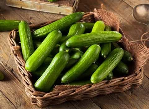 تصویر 1 از خرید و فروش خیار سبز تازه با شرایط فوق العاده