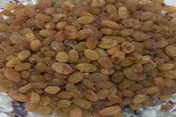 تصویر 4 از خرید و قیمت کشمش زرد یزد + فروش عمده