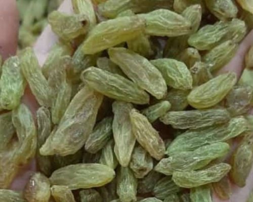 تصویر 5 از قیمت خرید کشمش سبز اصفهان با فروش عمده