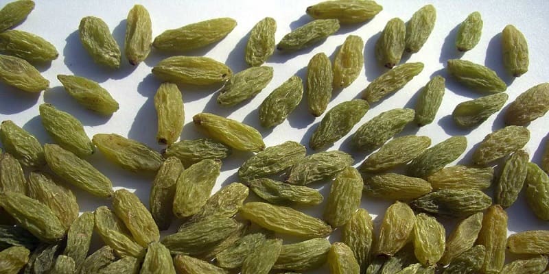 تصویر 5 از خرید جدیدترین انواع کشمش قلمی صادراتی