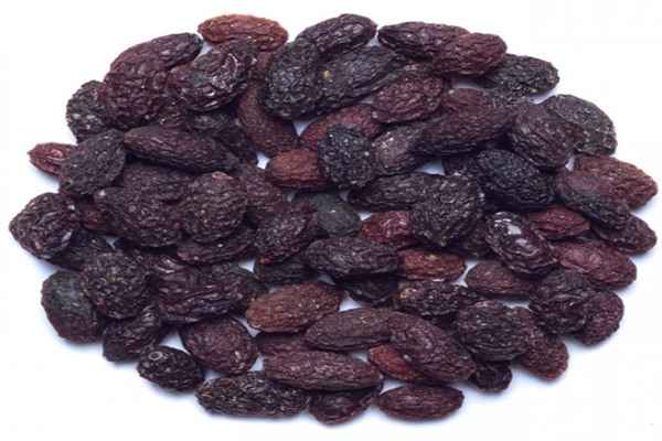 تصویر 5 از خرید میوه خشک جنگلی + قیمت عالی باکیفیت