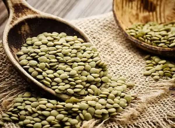 تصویر 4 از خرید و قیمت عدس سبز + فروش عمده