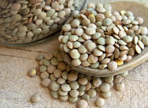 تصویر 4 از قیمت عدس سبز کانادایی + خرید باور نکردنی