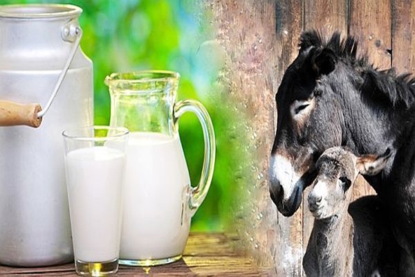 تصویر 2 از خرید شیر خشک عمده + قیمت فروش استثنایی