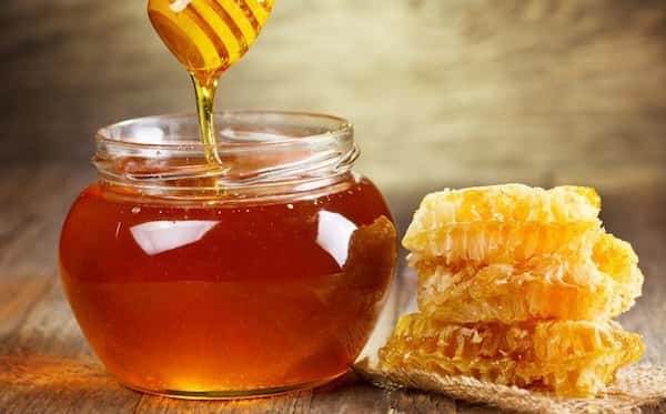 تصویر 2 از قیمت خرید عسل گون اصل + فروش ویژه