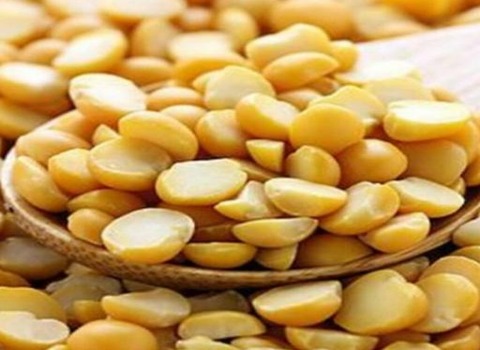 تصویر 5 از قیمت لپه دانه درشت + پخش تولیدی عمده کارخانه