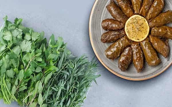 تصویر 4 از قیمت خرید سبزی دلمه خشک + فروش ویژه