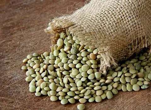 تصویر 1 از فروش عدس ریز محلی + قیمت خرید به صرفه