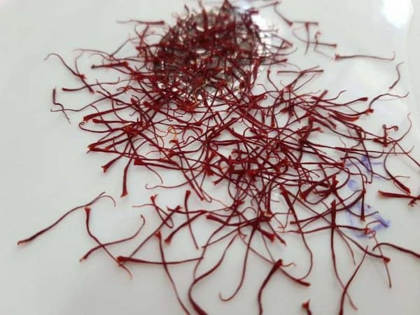 تصویر 3 از قیمت زعفران نگین اعلا + خرید باور نکردنی