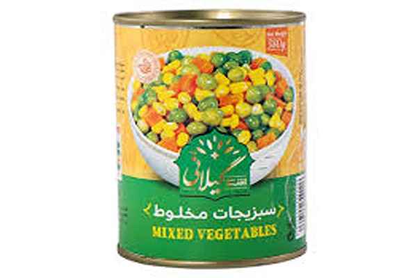 تصویر 4 از خرید کنسرو سبزیجات بیژن  + قیمت عالی باکیفیت