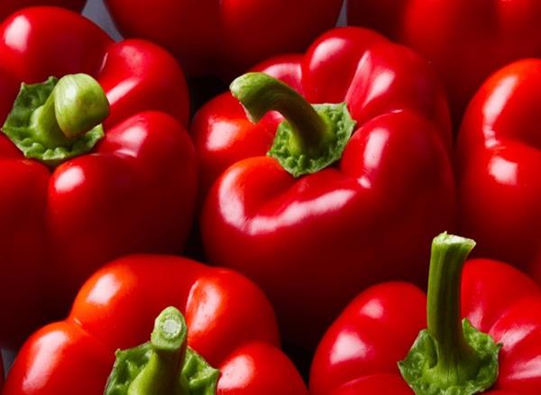 تصویر 3 از قیمت فلفل دلمه قرمز + خرید باور نکردنی