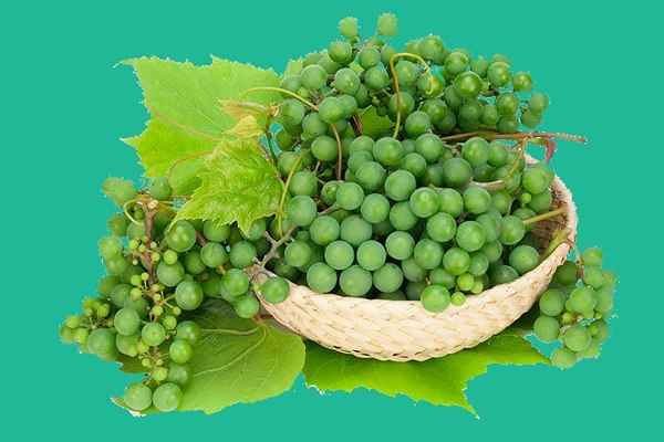 تصویر 1 از خرید و فروش غوره خشک ترش با شرایط فوق العاده