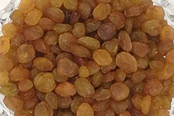تصویر 1 از قیمت کشمش طلایی کاشمر + خرید باور نکردنی
