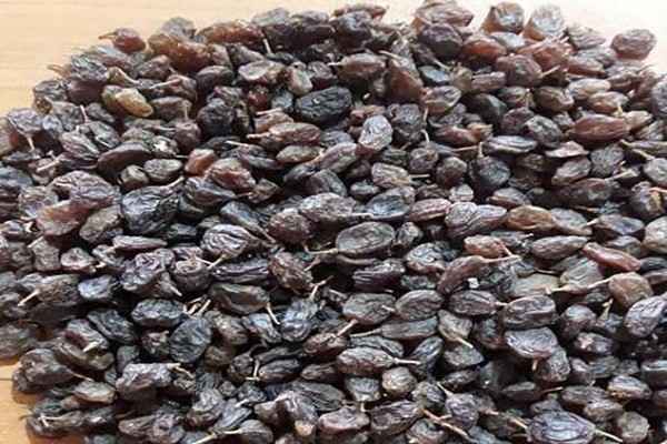 تصویر 1 از خرید کشمش تیزابی خرمایی + قیمت فروش استثنایی