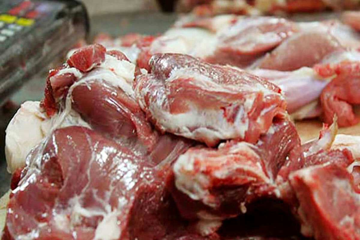تصویر 1 از خرید و فروش گوشت گوساله ارگانیک با شرایط فوق العاده