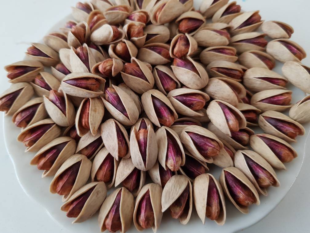 تصویر 2 از خرید پسته اکبری دست چین خام + قیمت فروش استثنایی