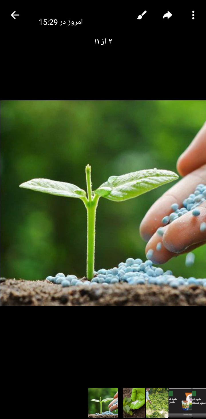 تصویر 1 از قیمت کود شیمیایی