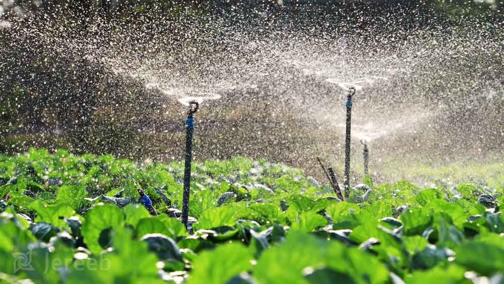 تصویر 5 از فروش لوله قطره بارانی + قیمت خرید به صرفه