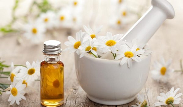 تصویر 5 از فروش گل بابونه ایرانی + قیمت خرید به صرفه