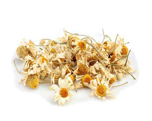 تصویر 2 از قیمت گل بابونه خشک + خرید باور نکردنی