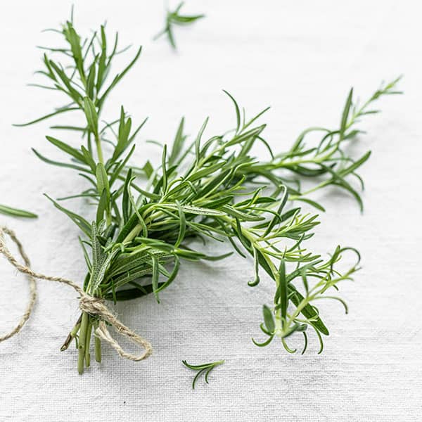 تصویر 4 از خرید گلنار فارسی عمده + قیمت امروز