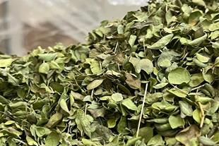 تصویر 1 از خرید آویشن برگ پهن شیرازی + قیمت فروش استثنایی