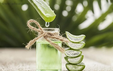 تصویر 2 از قیمت خرید عرق آلوئه ورا + فروش ویژه
