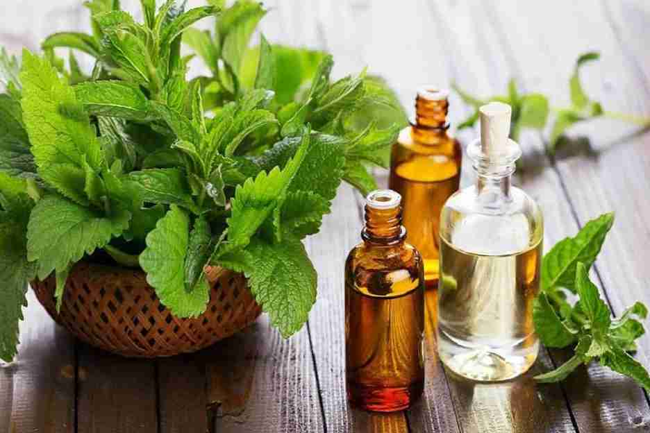 تصویر 1 از فروش عرق نعنا فلفلی + قیمت خرید به صرفه