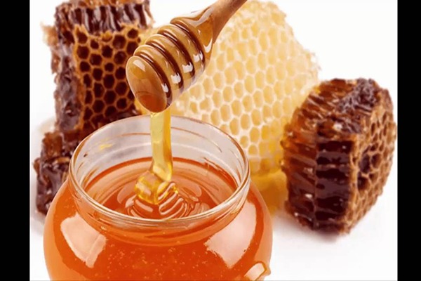 تصویر 5 از قیمت عسل طبیعی گون گز انگبین اعلا + فروش عمده
