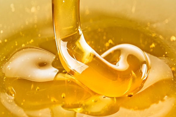 تصویر 1 از خرید عسل کندو طبیعی + قیمت فروش استثنایی