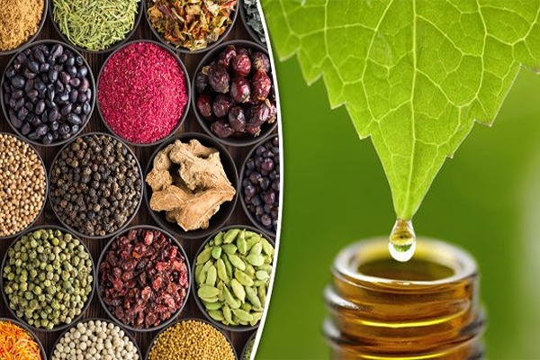 تصویر 5 از قیمت خرید عرق آلوئه ورا + فروش ویژه