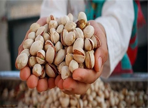 تصویر 2 از قیمت خرید مغز پسته گلستان با فروش عمده