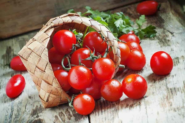 تصویر 4 از قیمت خرید گوجه فرنگی فلات عمده به صرفه و ارزان