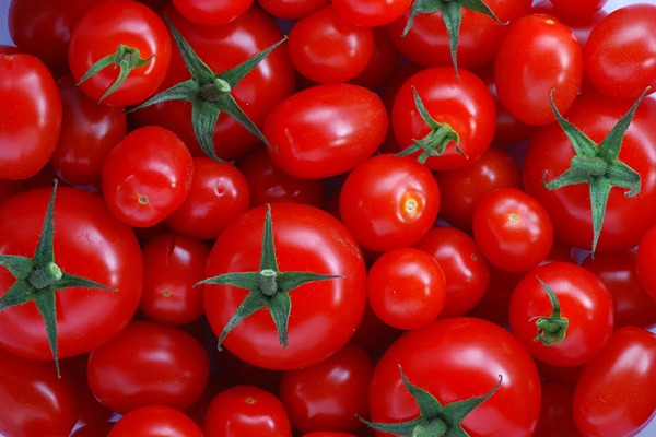 تصویر 2 از قیمت خرید گوجه فرنگی فرگوسن عمده به صرفه و ارزان