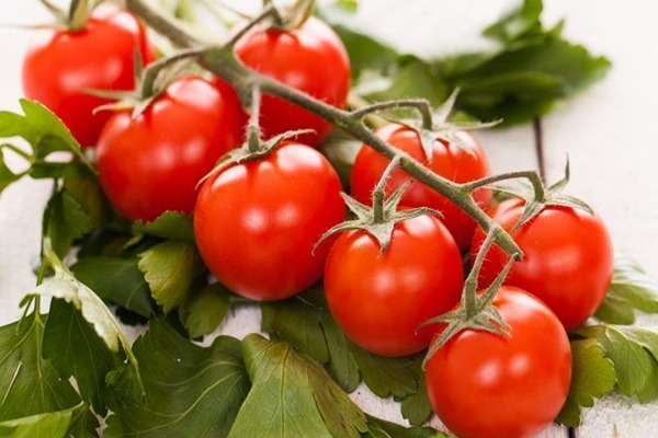 تصویر 5 از قیمت خرید گوجه فرنگی جنوب عمده به صرفه و ارزان