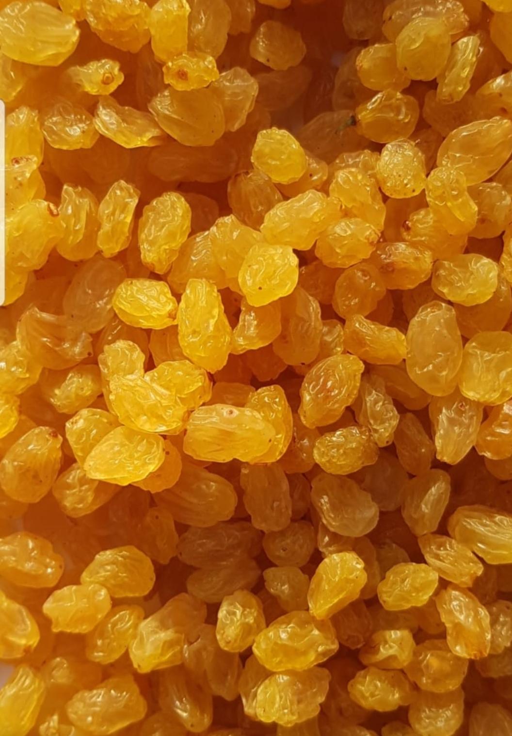 فروش کشمش گلدن لوکس