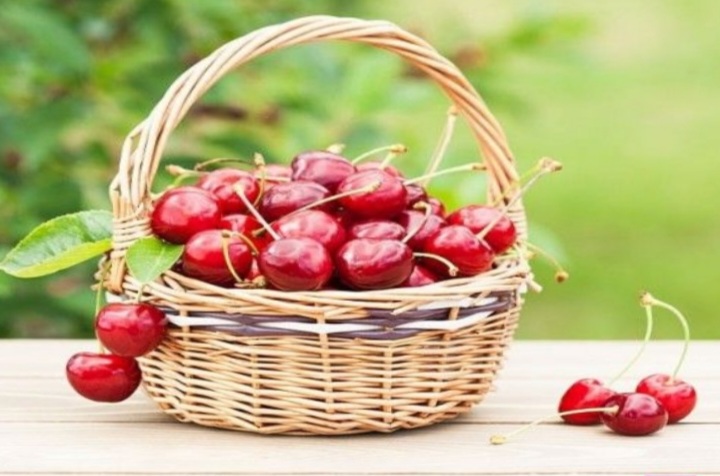 آلبالو مازندران قیمت
