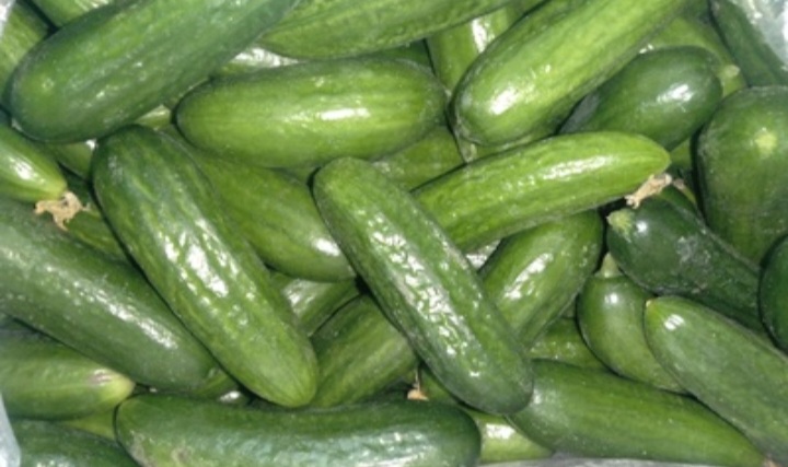 خیار محلی