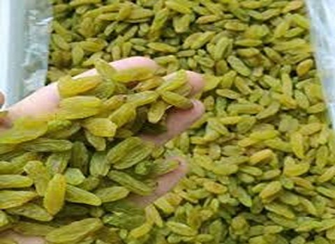 تصویر 5 از کشمش سبز کاشمر - فروش عمده