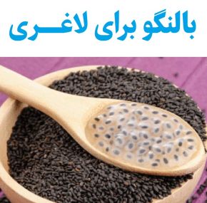تصویر 1 از دانه بالنگوی شهری