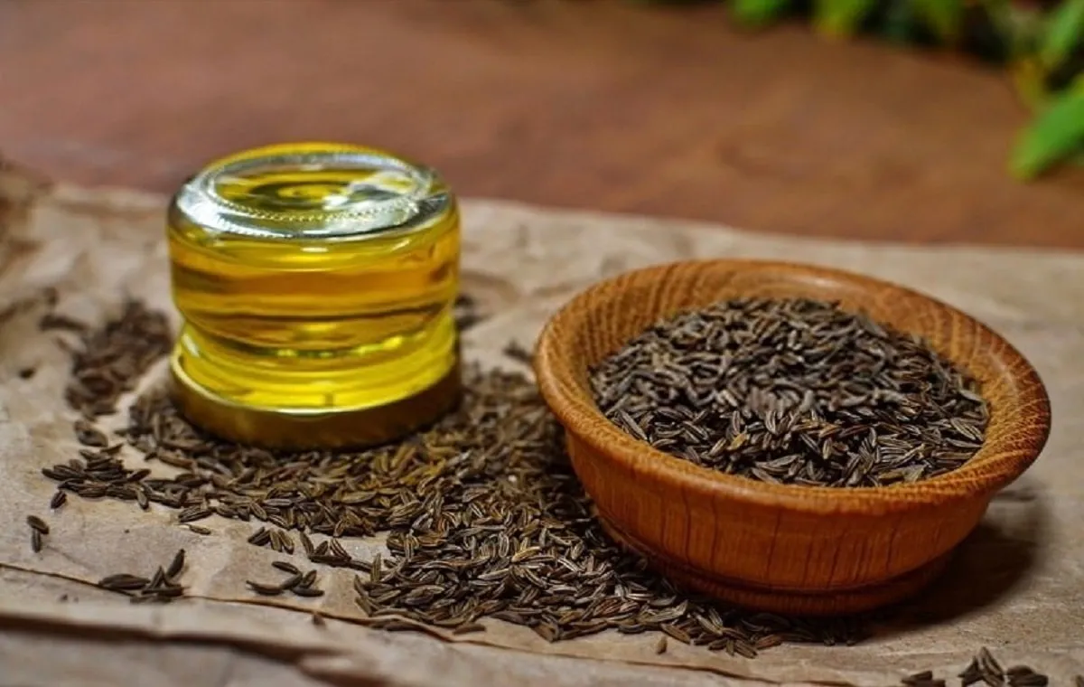 بهترین شرایط خرید زیره سیاه صادراتی درجه یک کرمان