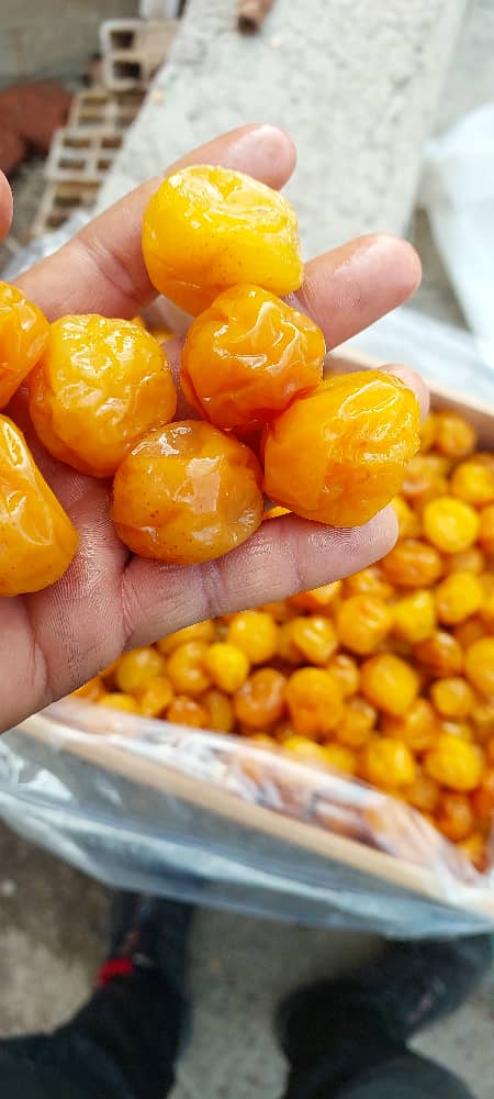 تصویر 2 از خرید آلو مشهدی ممتاز