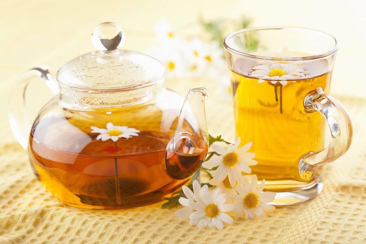 تصویر 3 از گل بابونه معرفی خواص درمانی و کاربردهای گیاه دارویی اصیل