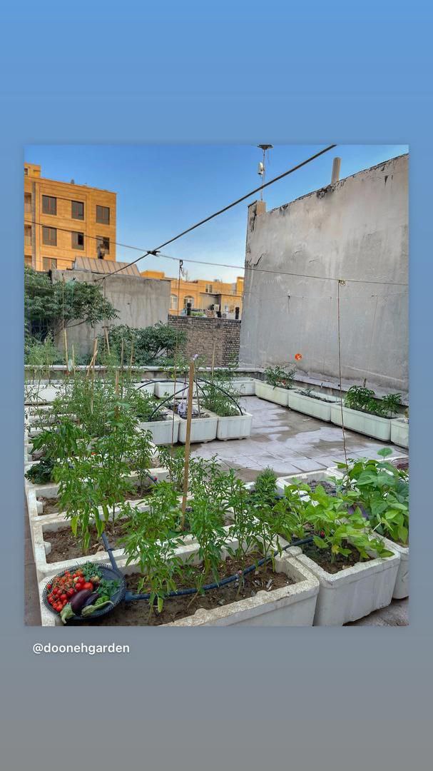 تصویر 2 از گلدان پلاستیکی مستطیلی باکس بنفشه ۳ برای حیاط با قیمت صادراتی
