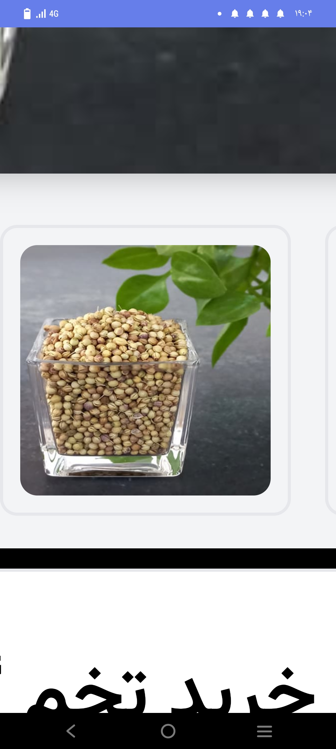 عرق گشنیز برای چی خوبه