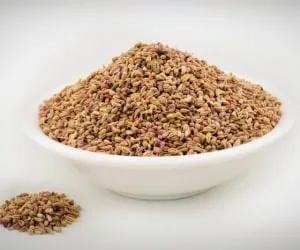 تصویر 5 از پودر زنیان ادویه گرم ایرانی با قدرت ضدعفونی و هضم آسان