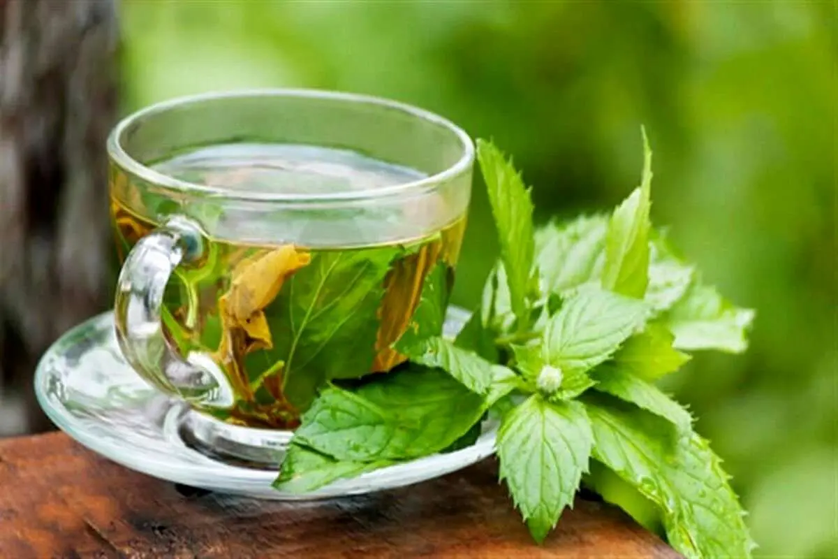 تصویر 2 از عرق نعنا دوآتیشه با کیفیت عالی + قیمت