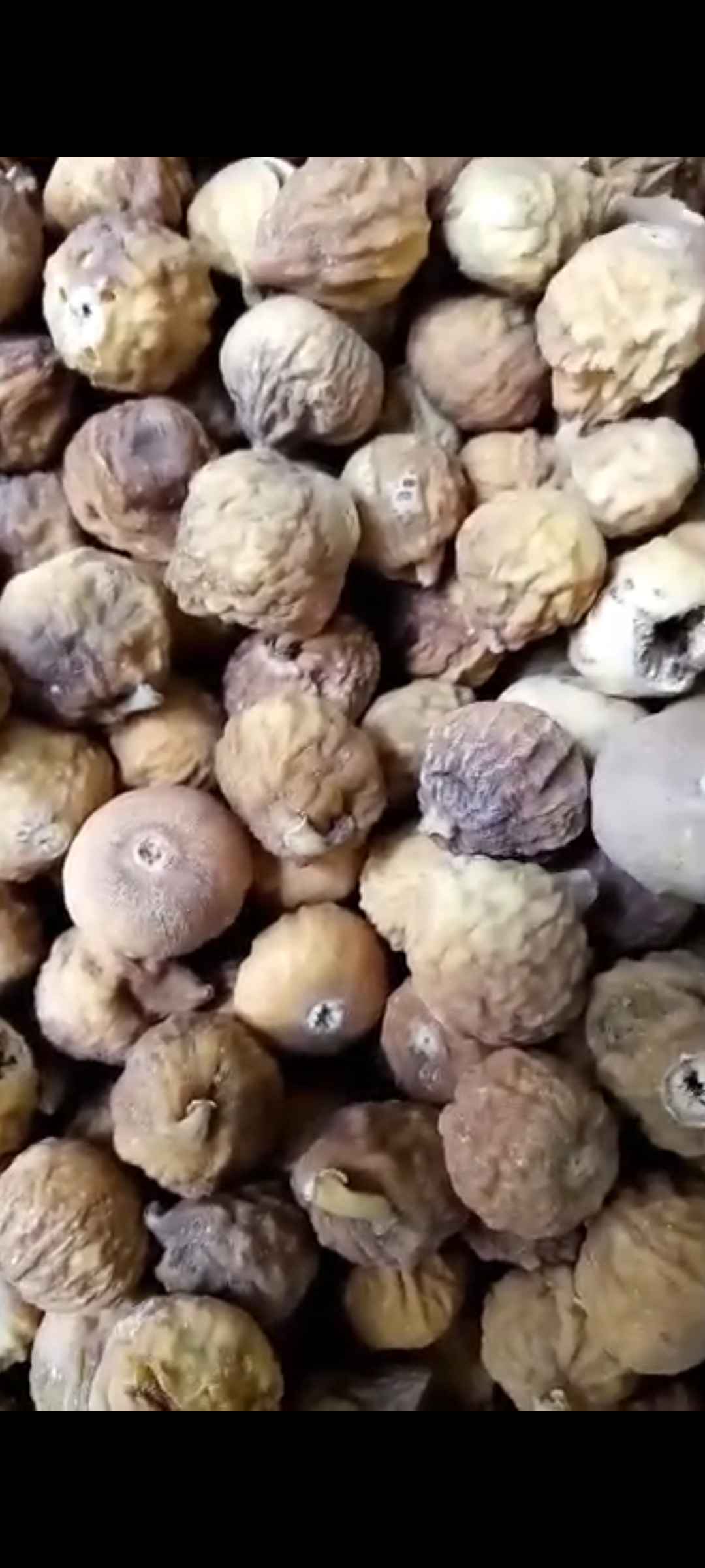 تصویر 1 از انجیرخشک عالی استهبان قیمت