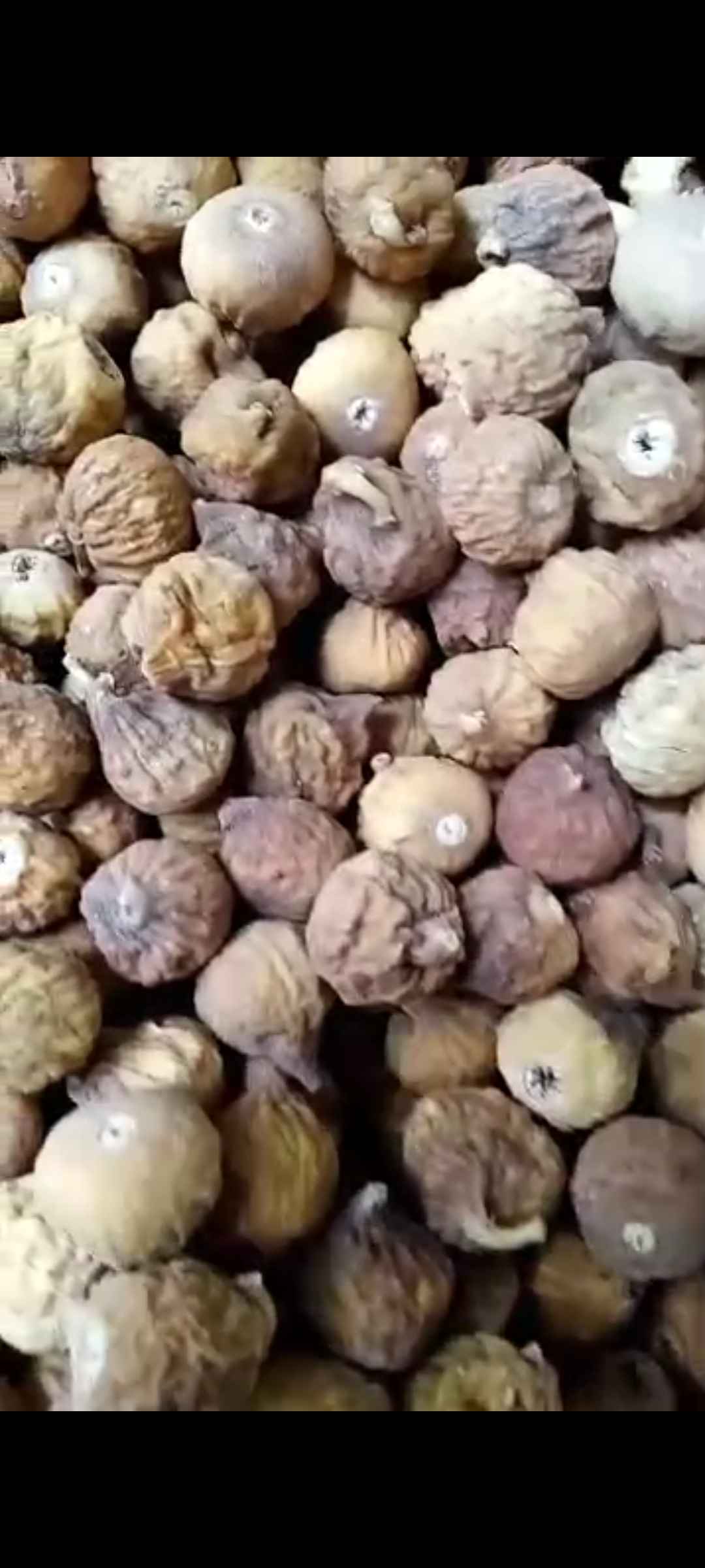 تصویر 3 از انجیرخشک عالی استهبان قیمت